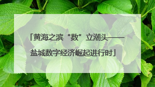 黄海之滨“数”立潮头——盐城数字经济崛起进行时