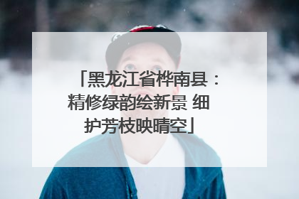 黑龙江省桦南县：精修绿韵绘新景 细护芳枝映晴空