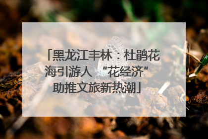 黑龙江丰林：杜鹃花海引游人 “花经济”助推文旅新热潮
