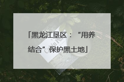 黑龙江垦区：“用养结合”保护黑土地