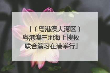 （粤港澳大湾区）粤港澳三地海上搜救联合演习在港举行