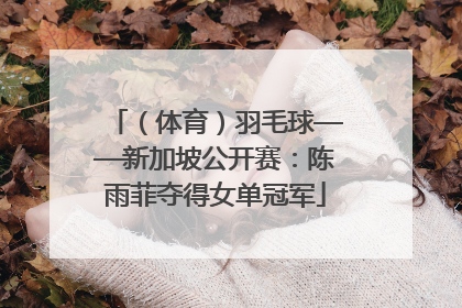（体育）羽毛球——新加坡公开赛：陈雨菲夺得女单冠军