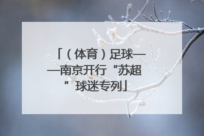 （体育）足球——南京开行“苏超”球迷专列