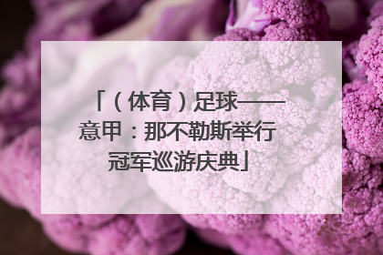 （体育）足球——意甲：那不勒斯举行冠军巡游庆典