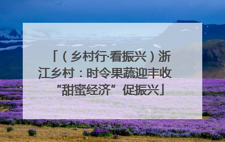 （乡村行·看振兴）浙江乡村：时令果蔬迎丰收 “甜蜜经济”促振兴