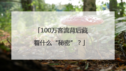 100万客流背后藏着什么“秘密”？