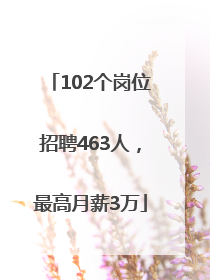 102个岗位招聘463人，最高月薪3万