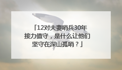 12对夫妻哨兵30年接力值守，是什么让他们坚守在深山孤哨？