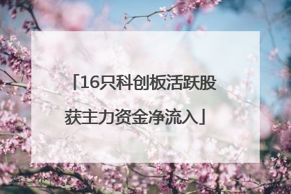 16只科创板活跃股获主力资金净流入