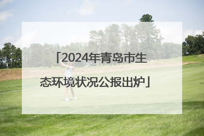 2024年青岛市生态环境状况公报出炉