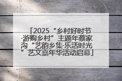 2025“乡村好时节·游购乡村”主题年蔡家沟“艺韵乡集·乐活时光”艺文嘉年华活动启幕