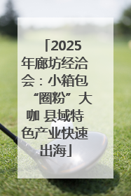 2025年廊坊经洽会：小箱包“圈粉”大咖 县域特色产业快速出海
