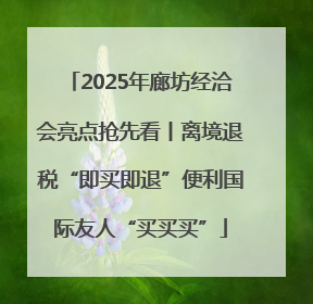 2025年廊坊经洽会亮点抢先看丨离境退税“即买即退”便利国际友人“买买买”