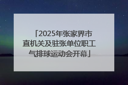 2025年张家界市直机关及驻张单位职工气排球运动会开幕