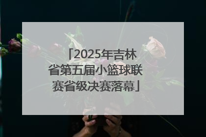 2025年吉林省第五届小篮球联赛省级决赛落幕