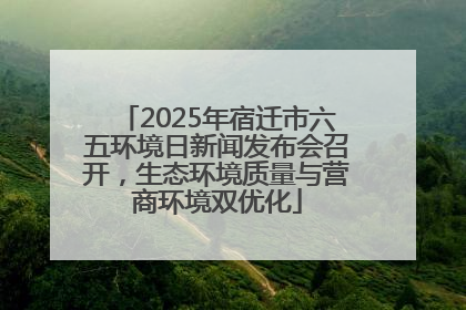 2025年宿迁市六五环境日新闻发布会召开，生态环境质量与营商环境双优化