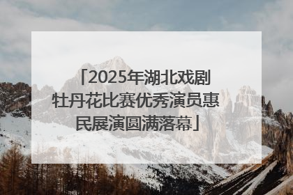 2025年湖北戏剧牡丹花比赛优秀演员惠民展演圆满落幕