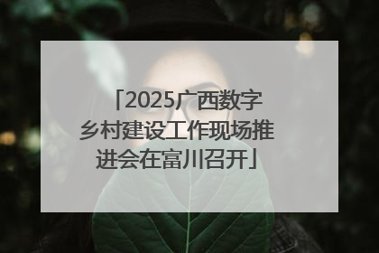 2025广西数字乡村建设工作现场推进会在富川召开