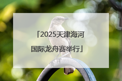 2025天津海河国际龙舟赛举行