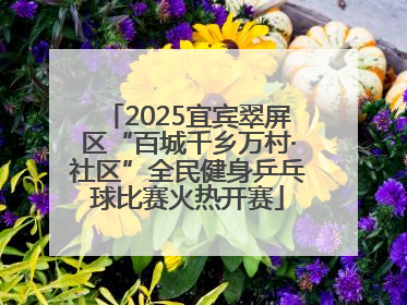 2025宜宾翠屏区“百城千乡万村·社区”全民健身乒乓球比赛火热开赛