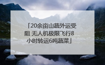 20余亩山蔬外运受阻 无人机极限飞行8小时转运6吨蔬菜