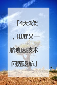 4天3架，印度又一航班因技术问题返航