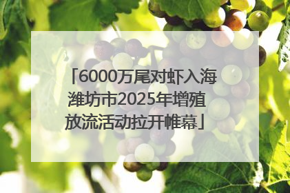 6000万尾对虾入海 潍坊市2025年增殖放流活动拉开帷幕