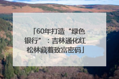60年打造“绿色银行”：吉林通化红松林藏着致富密码