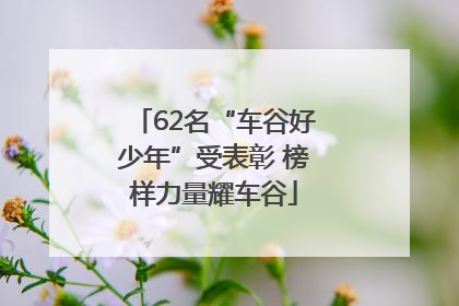62名“车谷好少年”受表彰 榜样力量耀车谷
