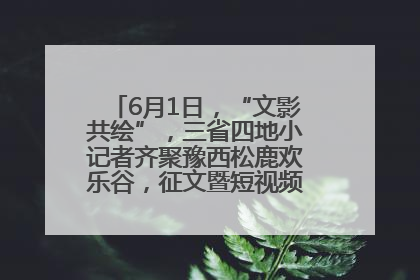 6月1日，“文影共绘”，三省四地小记者齐聚豫西松鹿欢乐谷，征文暨短视频大赛精彩启幕！