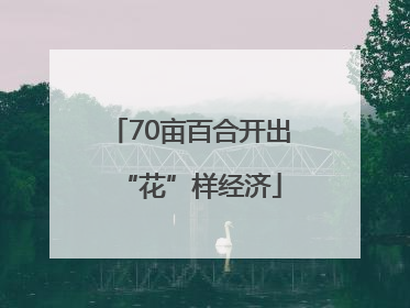 70亩百合开出“花”样经济