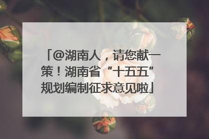 @湖南人，请您献一策！湖南省“十五五”规划编制征求意见啦