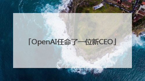 OpenAI任命了一位新CEO